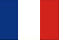 French VAT registration and filing